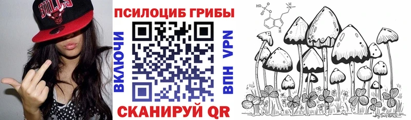 где купить   Устюжна  блэк спрут онион  Галлюциногенные грибы мухоморы 
